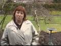 How to Create a Moon Garden : Time of Year to Plant a Moon Garden