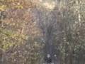 videos de the valley jumping and hill climbing
