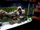 New aquascaping New aquascaping