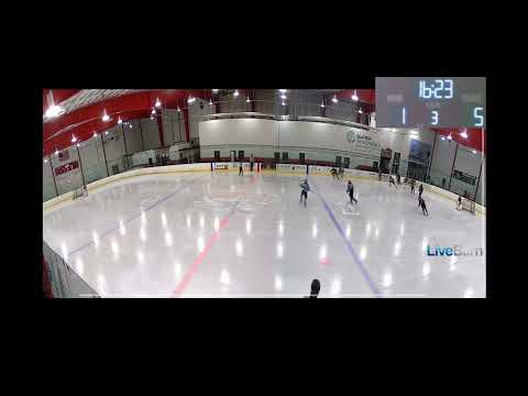 Little flyers breakaway goal