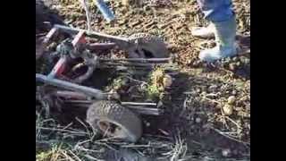 с юмором и с копалкой