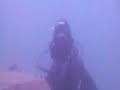 Tauchen im Fühlinger See Köln Tauchen im Fühlinger See Köln