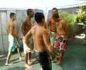 Niver Zagallo 4