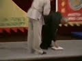 wing chun kung fu force generation  awesome! 