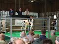 Ridgefield Licorice Dundee sells for 17,000 guineas.
