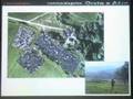 20 I paesaggi archeologici della Val d'Orcia - C. Felici