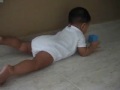 leopard crawl leopard crawl