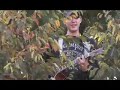 jon pettis of bankrupt and the borrowers in a tree