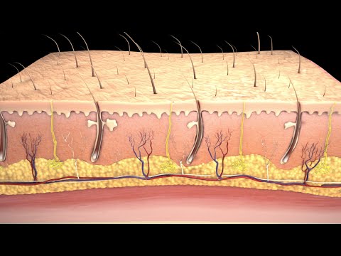 how to care for a skin graft
