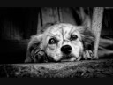 Your help - their hope Your help - their hope