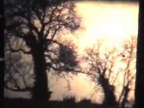 how to whiten pillows