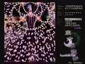 Touhou 08 - Imperishable night Stage 5 Lunatic