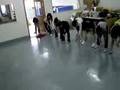 videos de 高三==we are the best(第二日即最後一日排舞)