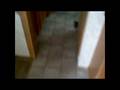 2003 Montana 3655FL 5th Wheel Interior Video