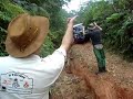 Rural do Max