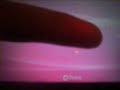 ofw 1.50 on psp slim ofw 1.50 on psp slim