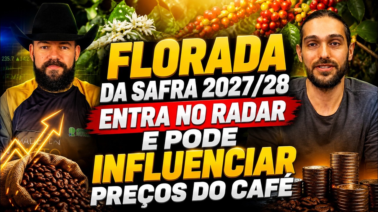 Florada da safra 2027/28 entra no radar e pode influenciar preços do café.