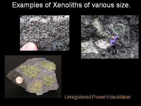 Why Young Earth Creationists are ...