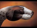 PAINTINGS ON THE HUMAN HAND - AMAZING