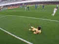 voici les 31 buts marqu�s par zidane avec les bleus...

r�galez vous!