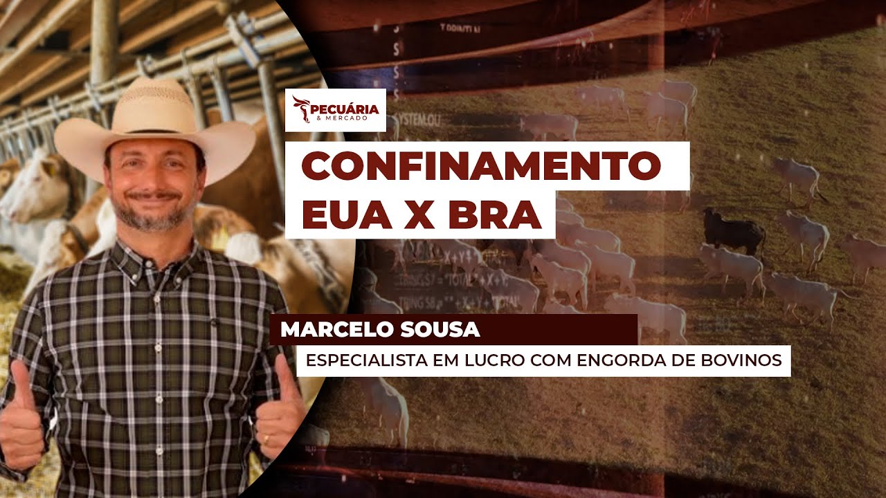 As diferenças e semelhanças entre os confinamentos nos EUA e no Brasil