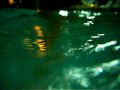 DSCF0363