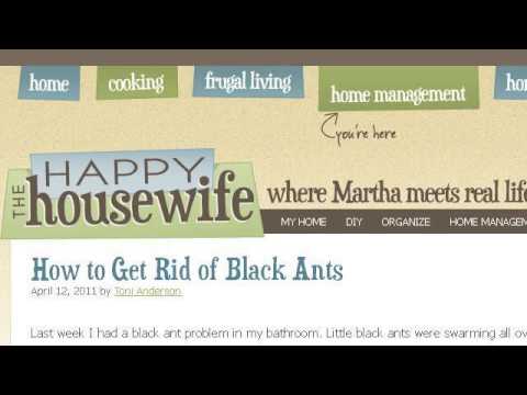 how to get rid of ants in dishwasher