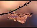 Buongiorno a te .wmv