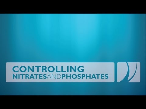 how to eliminate phosphates in aquarium