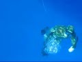 apnea profonda alle Egadi con slitta apnea profonda alle Egadi con slitta