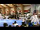 2007 North Korean TKD Demo - Breaking (4)