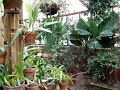 Meyer-Deats Conservatory Meyer-Deats Conservatory