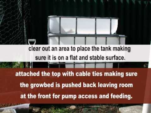 Build A Backyard Aquaponic System From An IBC Container