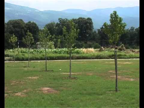 YouTube Preview Image