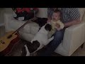 Click here to watch this video Baby Girl Laughing At Baby French Bulldog