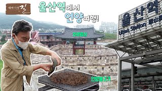 울산역 반경 5km