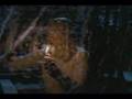  - MovieZen Video