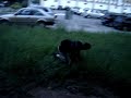 parkour rio g.o parkour rio g.o