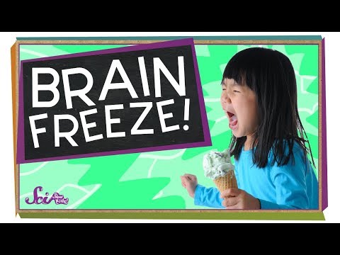 Unit 03-Why Does Ice Cream Hurt My Head? Thumbnail