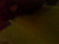 Mor julefrokost Seng.mp4