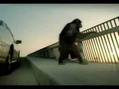 Trunk Monkey Commercials