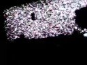 NINE INCH NAILS - ONLY - BUENOS AIRES PEPSI 2008