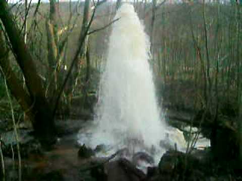 coll acid mine drainage