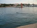 Mo jumps part 2