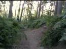 big road gap at woburn sands