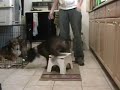 See Video