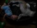 Lochlan and Suile vie for the bed