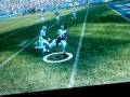 chris chambers diving catch(madden 09) chris chambers diving catch(madden 09)