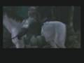 GHZ Presents:Metal Gear Solid 3 Parody: Payback