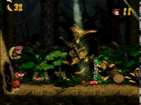 diddy kong and dixie kong